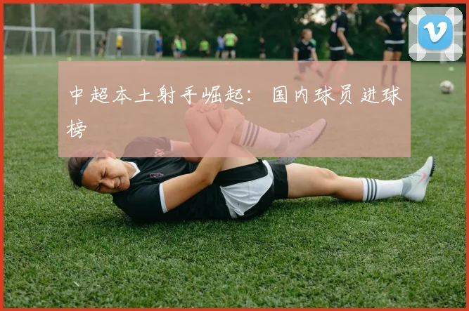 中超本土射手崛起：国内球员进球榜