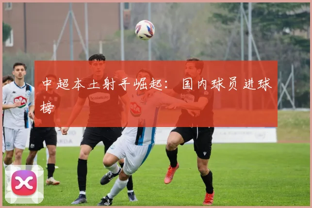 中超本土射手崛起：国内球员进球榜