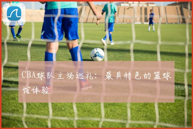 CBA球队主场巡礼:最具特色的篮球馆体验